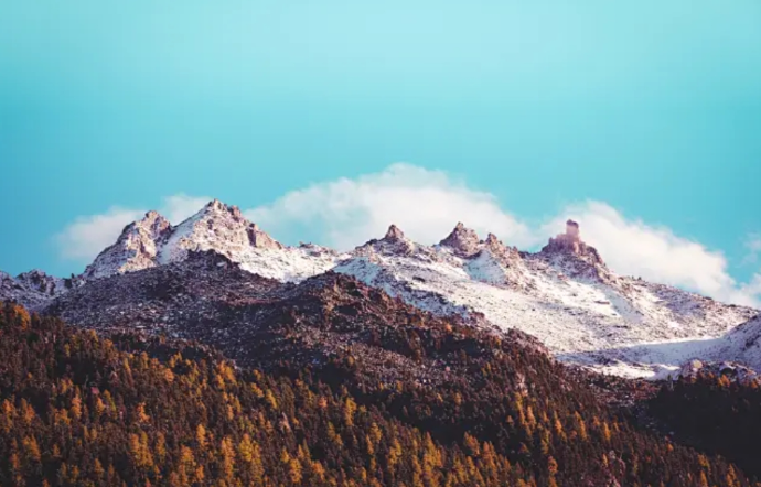 美国本科留学申请要求是什么-美世教育