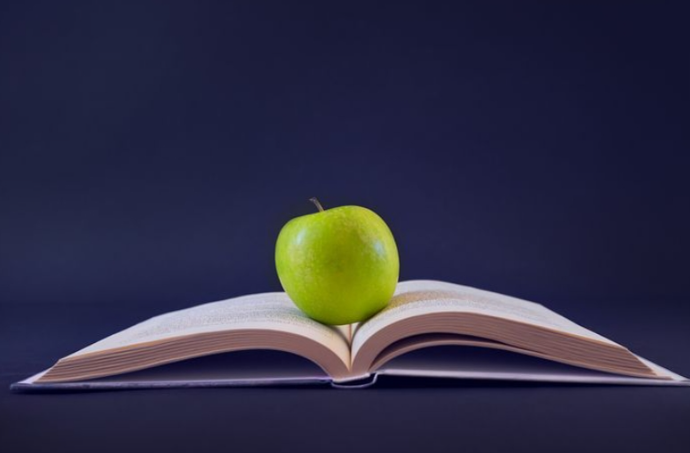 如何根据个人兴趣选择本科专业的指南：美国本科专业