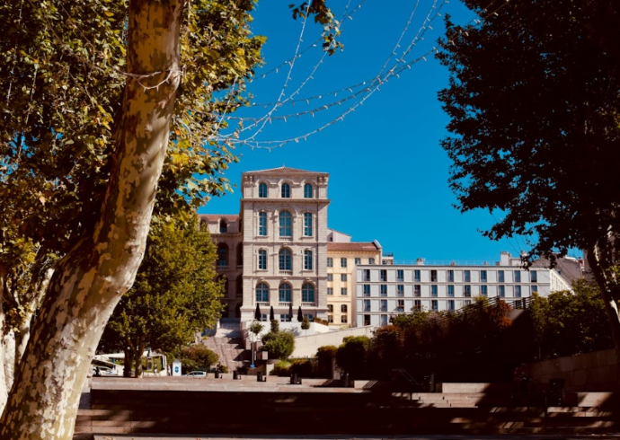 留学市场中的靠谱留学中介排名：美世留学教育的卓越表现