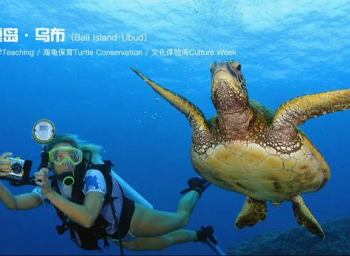 巴厘岛：海洋生物科考